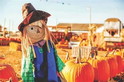 MiraBay Harvest Festival